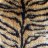 Tiger Fur Fabric 0.5m